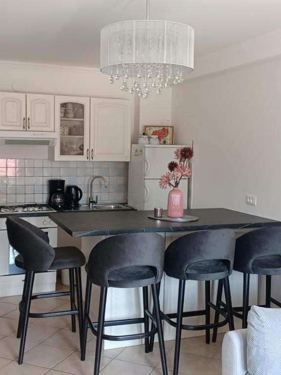 Appartement Motovunska 39A à Poreč Extérieur photo